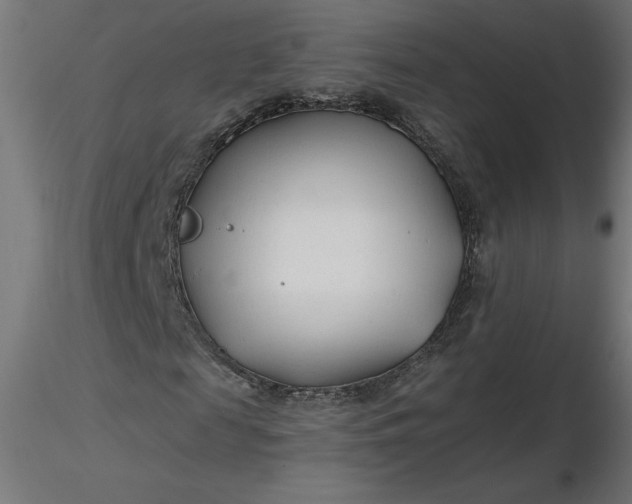 X0000116670817200912291656