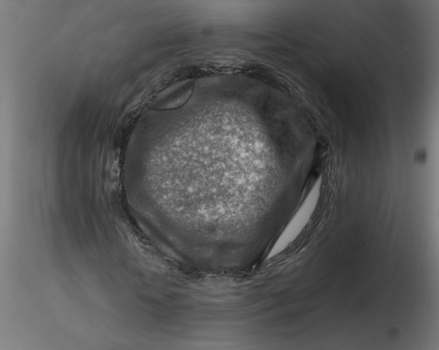 X0000116670818200912291656