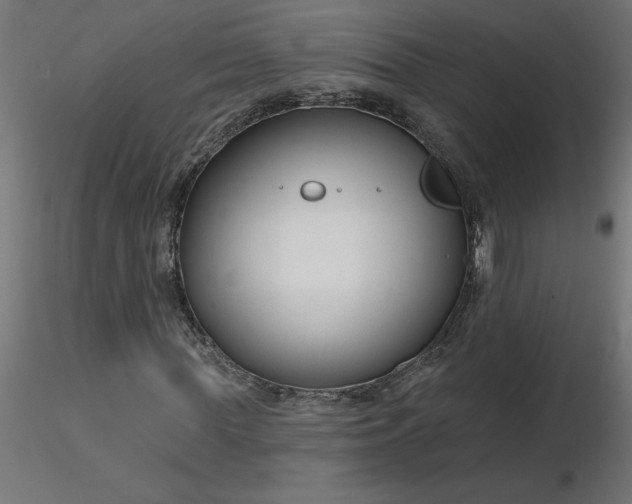 X0000116670819200912291656