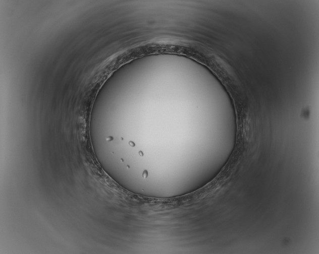 X0000116670821200912291656