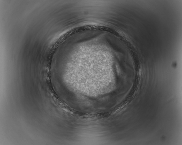 X0000116670822200912291656