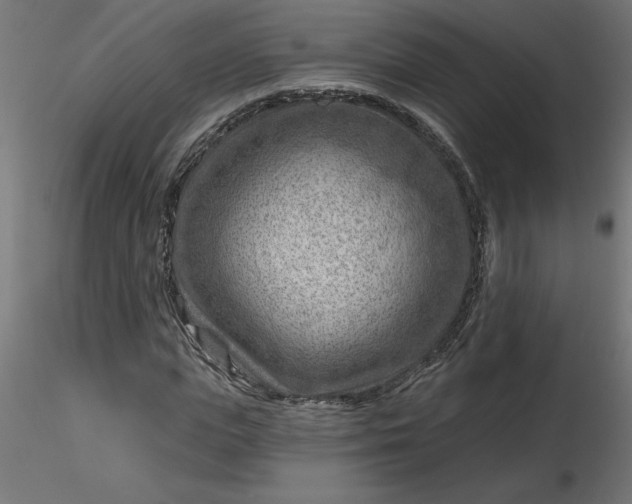 X0000116670823200912291656