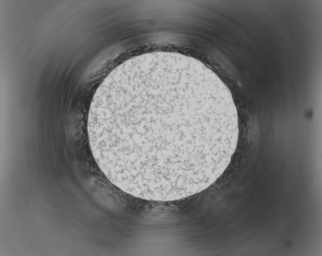 X0000116670824200912291656