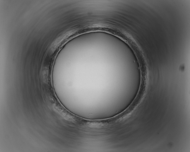 X0000116670825200912291656