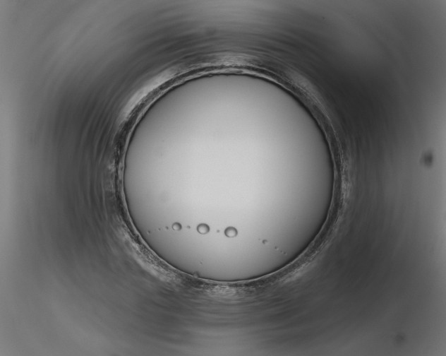 X0000116670827200912291656