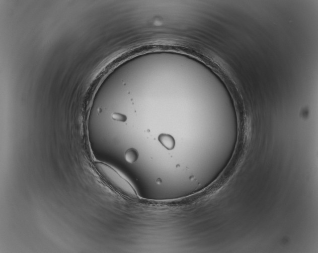 X0000116670829200912291656