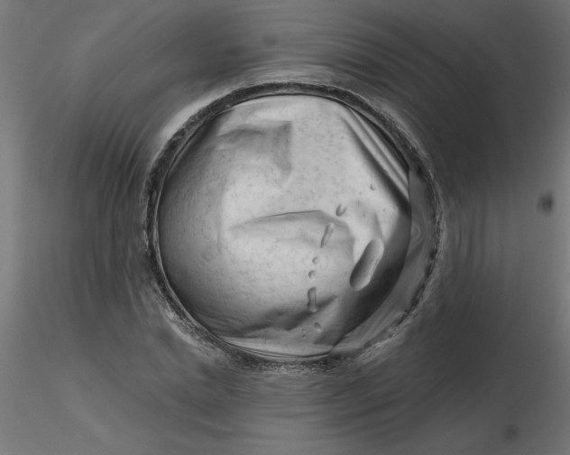 X0000116670830200912291656