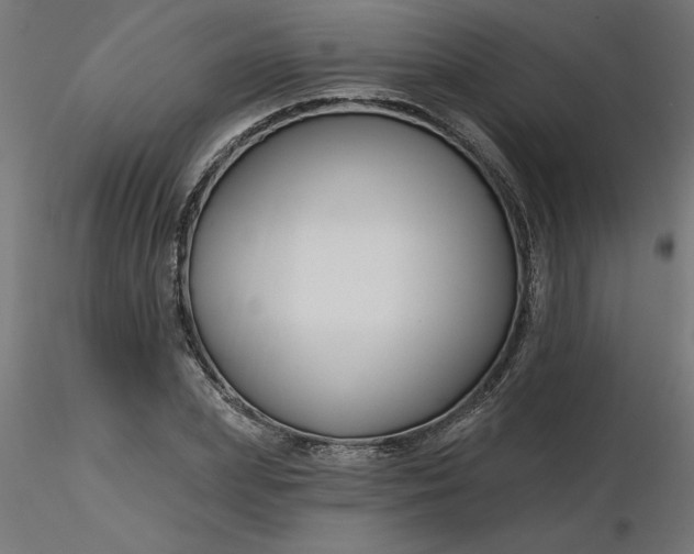 X0000116670831200912291656