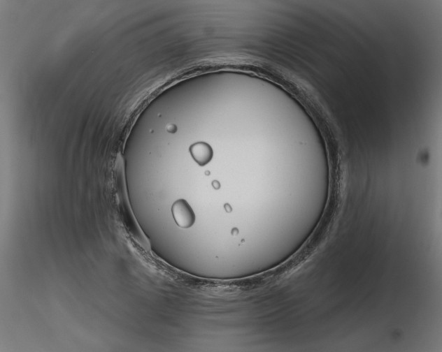 X0000116670833200912291656