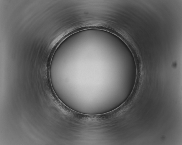 X0000116670834200912291656