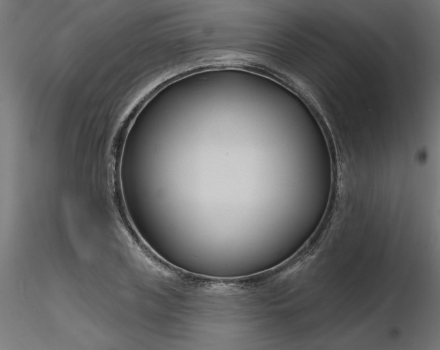 X0000116670835200912291656