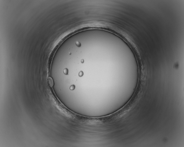 X0000116670837200912291656