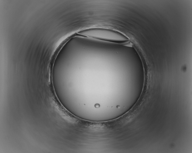 X0000116670838200912291656