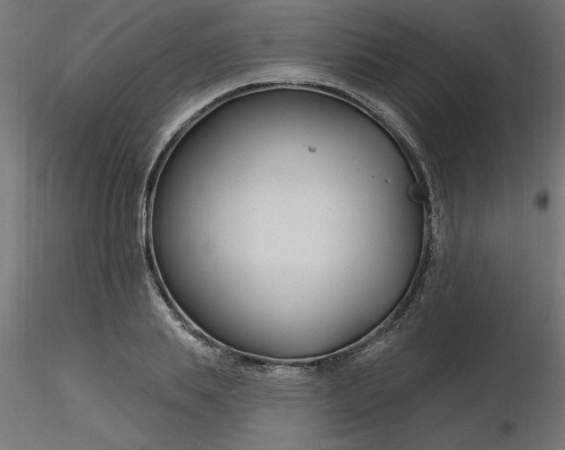 X0000116670839200912291656