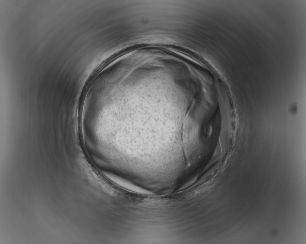 X0000116670840200912291656