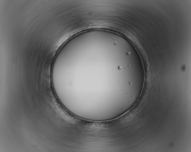 X0000116670842200912291656