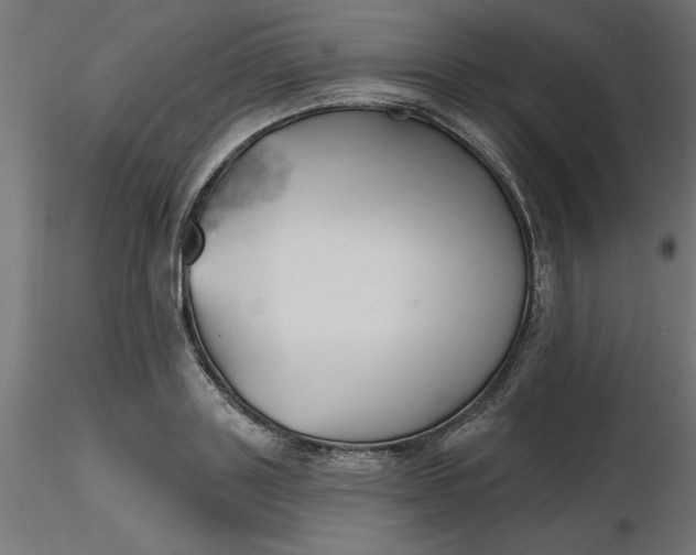 X0000116670843200912291656