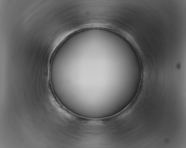 X0000116670844200912291657