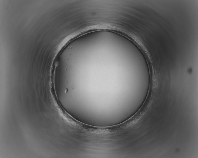 X0000116670845200912291657