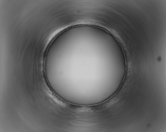 X0000116670846200912291657