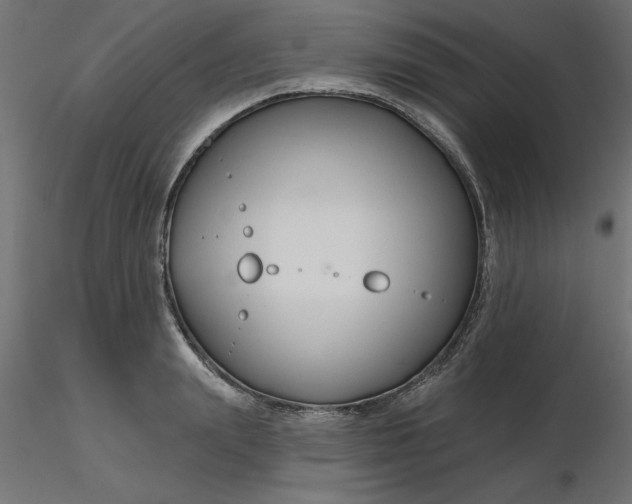 X0000116670847200912291657