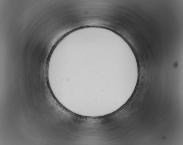 X0000116670848200912291657