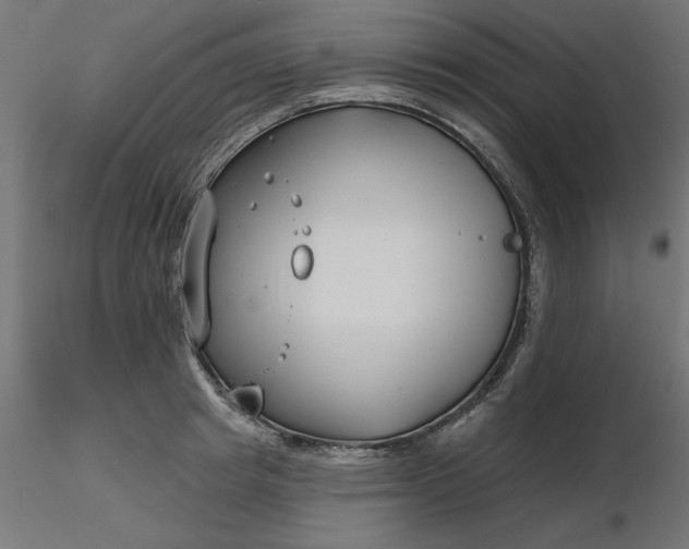 X0000116670849200912291657