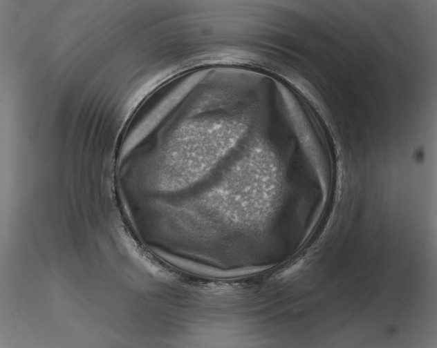 X0000116670850200912291657