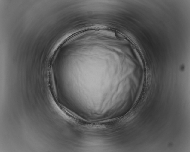 X0000116670851200912291657