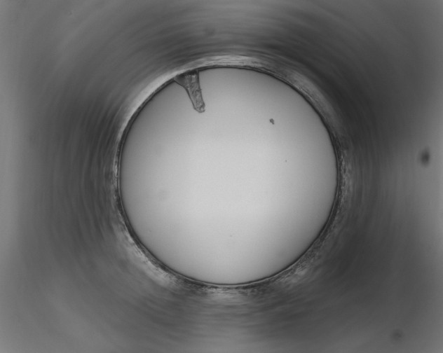 X0000116670852200912291657