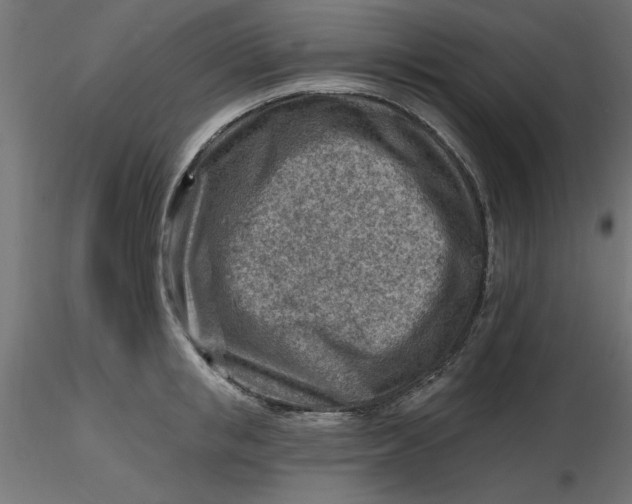 X0000116670853200912291657