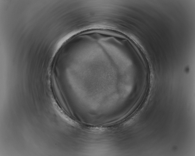 X0000116670854200912291657