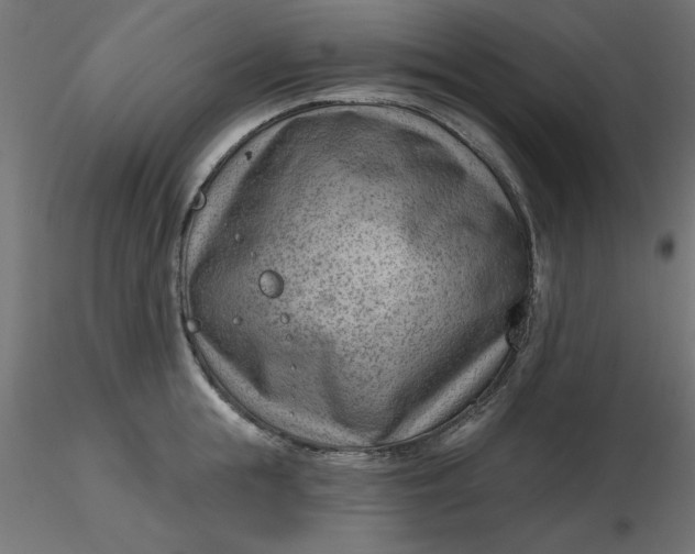 X0000116670855200912291657