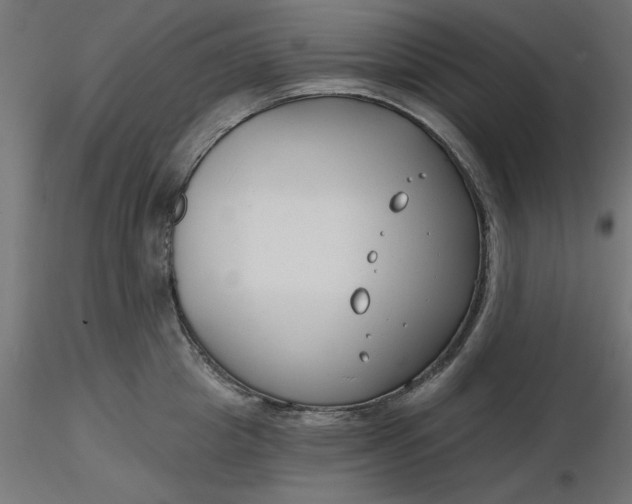 X0000116670857200912291657