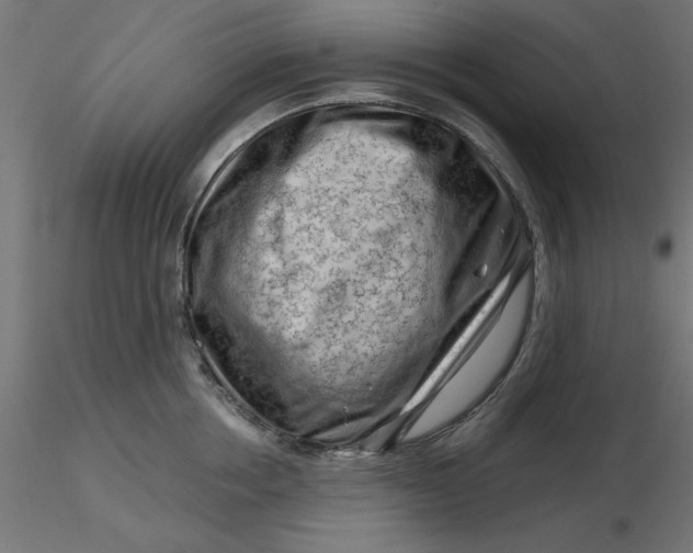 X0000116670858200912291657