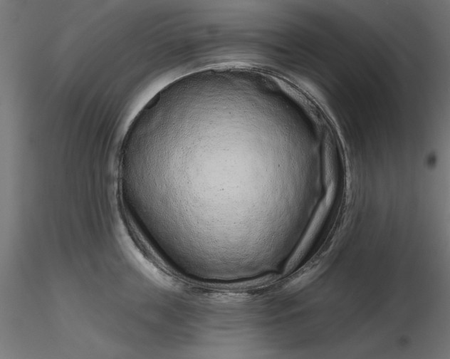 X0000116670859200912291657