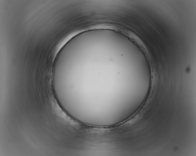 X0000116670860200912291657