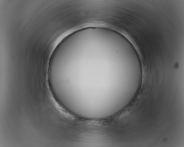 X0000116670861200912291657