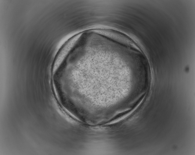 X0000116670862200912291657