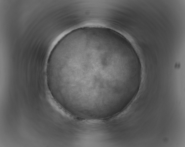 X0000116670864200912291657