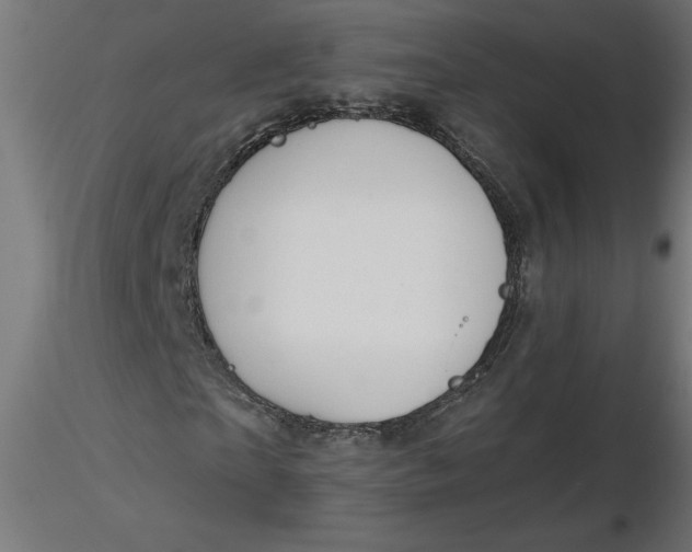 X0000116670865200912291656