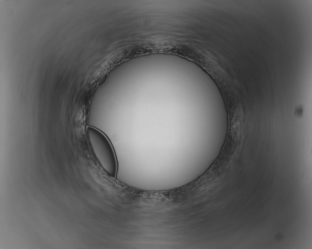 X0000116670866200912291656