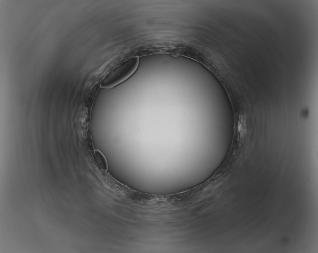 X0000116670867200912291656