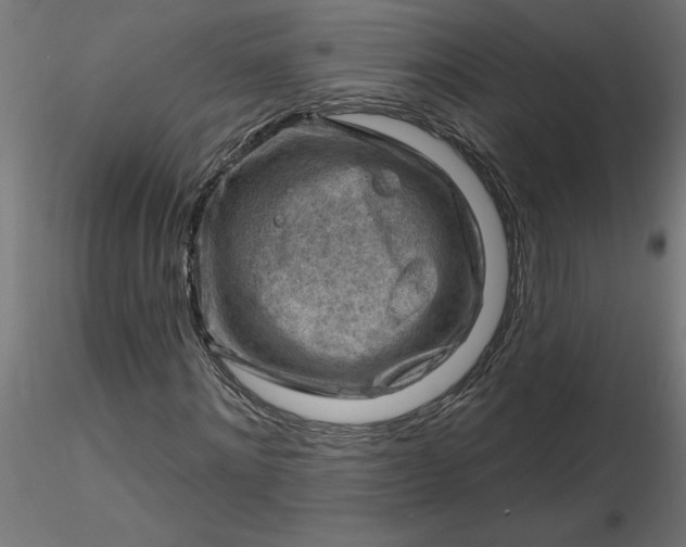 X0000116670868200912291656