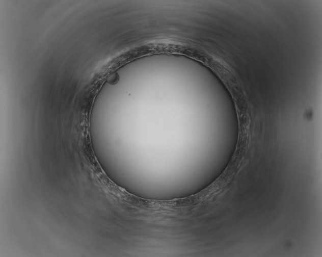 X0000116670870200912291656