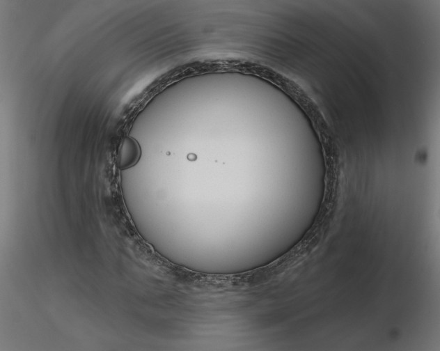 X0000116670871200912291656