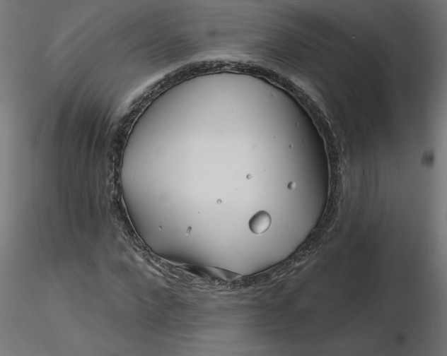 X0000116670872200912291656