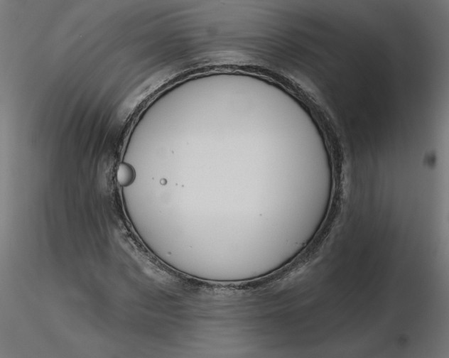 X0000116670873200912291656