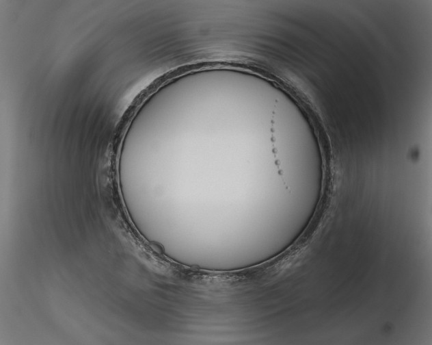 X0000116670875200912291656