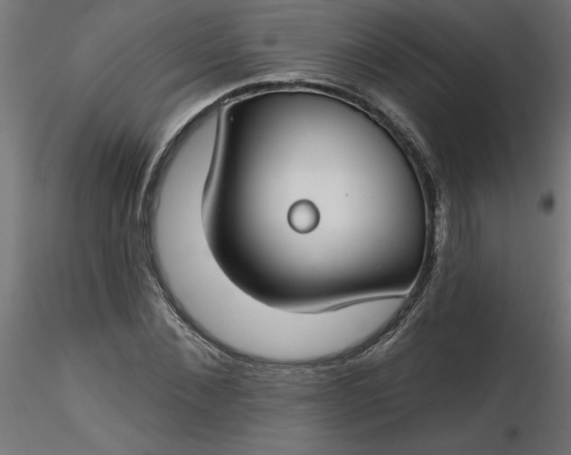 X0000116670876200912291656